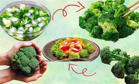 brokoli hangi ayda yenir
